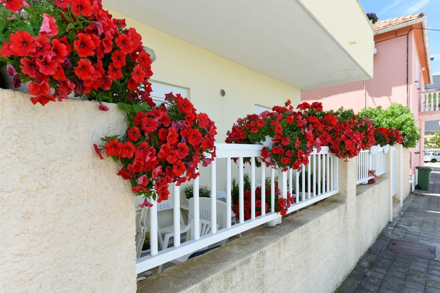 Apartments Kolt - 15M From Sea Kali Zewnętrze zdjęcie